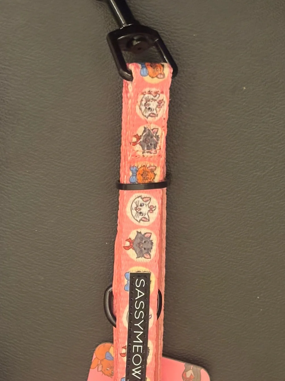 Disney Arostrocat Pet Leash